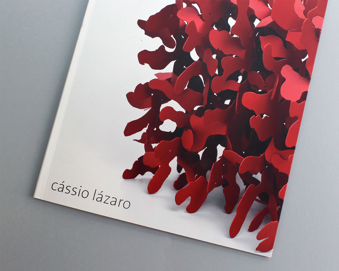 20-cassio-lazaro-galeria-andre-01
